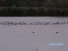 bild0115.jpg